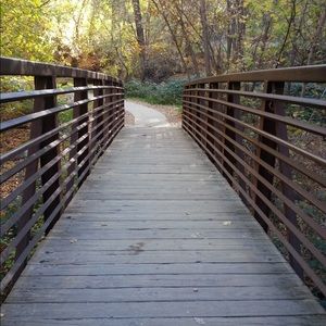 Meet your Posher, Stella